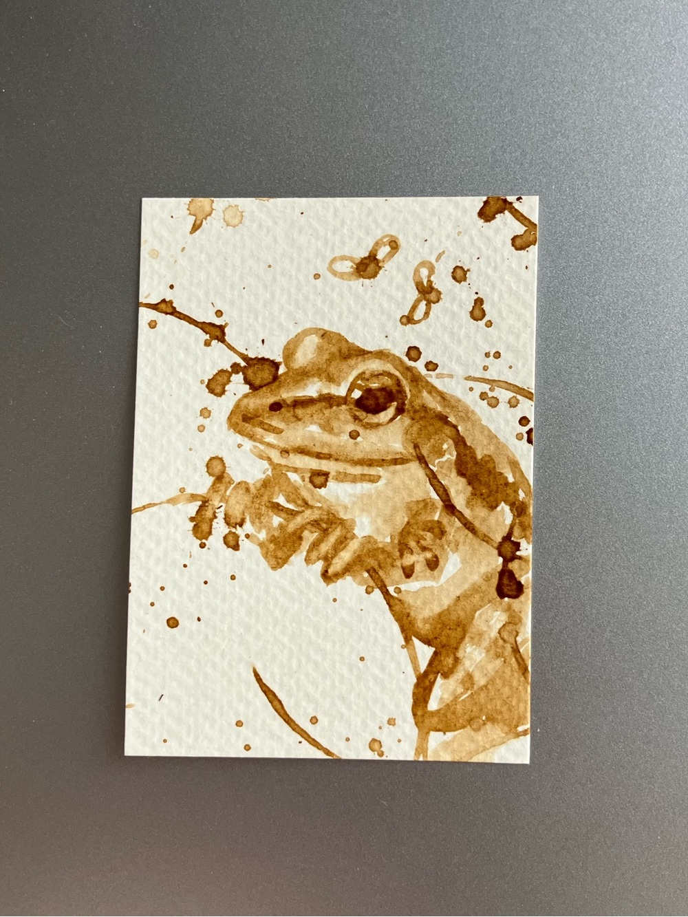 ORIGINAL coffee frog painting tabby cat art miniature realism aceo artwork